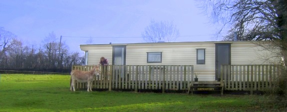 carvan and donkey